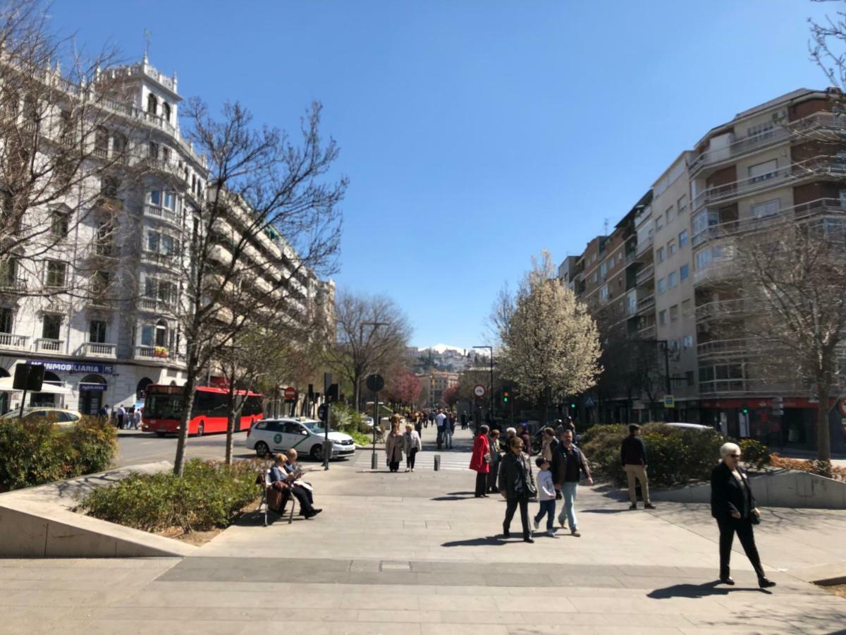 Constitucion Confort I